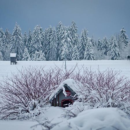 Ferienblockhaus Auerhahn & Luchs Villa กอสลาร์ ภายนอก รูปภาพ