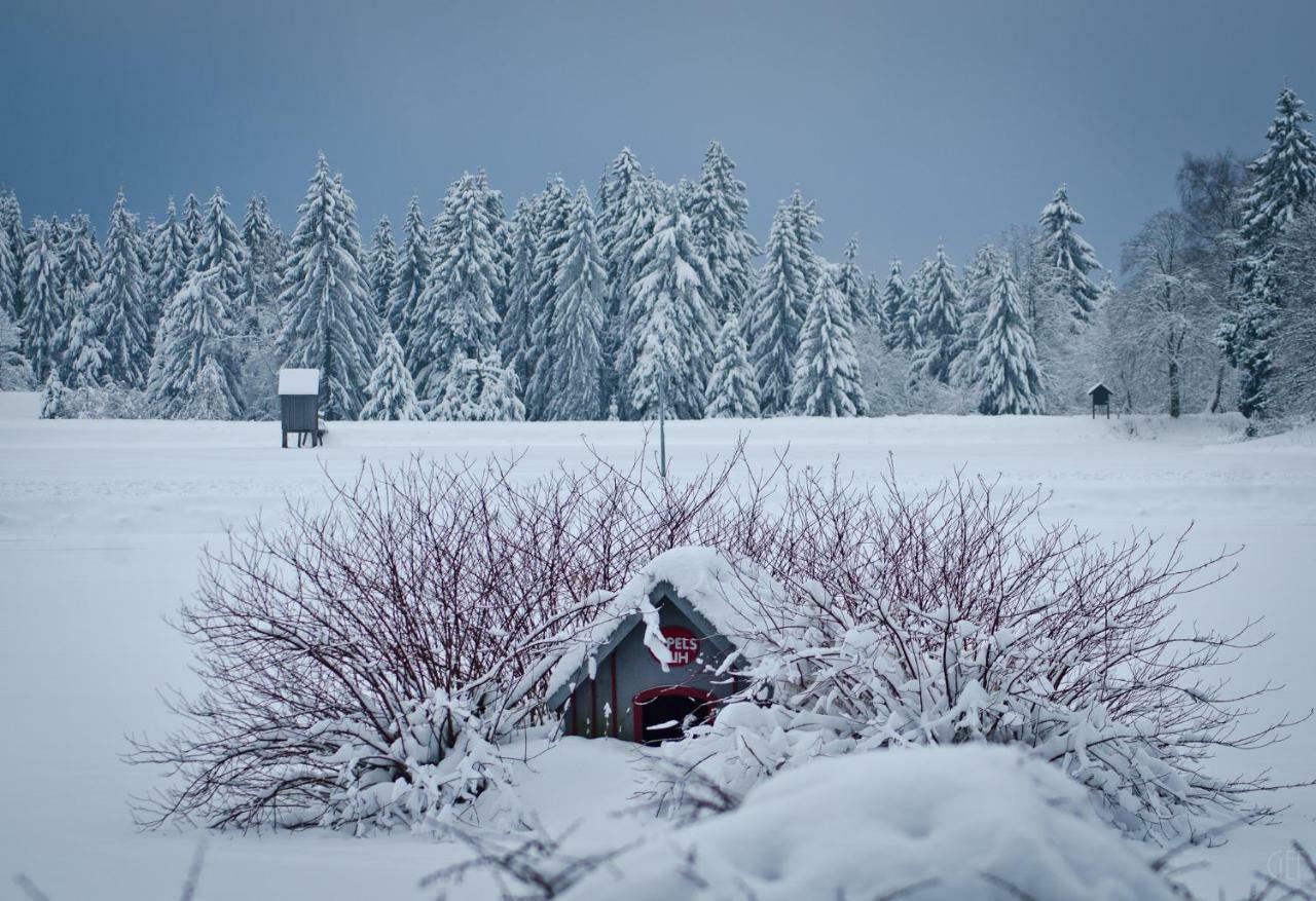 Ferienblockhaus Auerhahn & Luchs Villa กอสลาร์ ภายนอก รูปภาพ